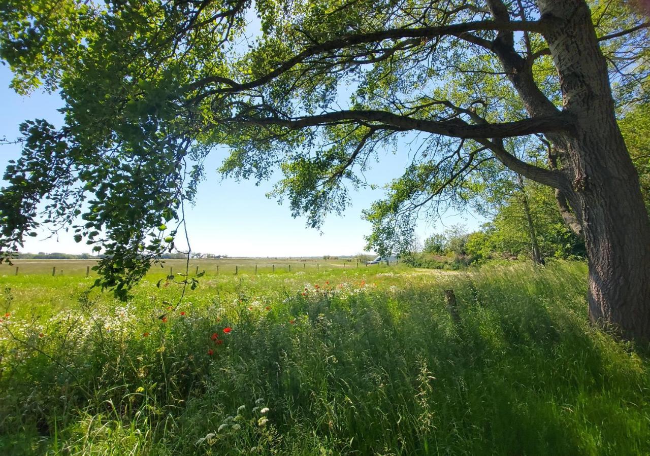 Holiday Home Canal View Алкмаар Екстериор снимка